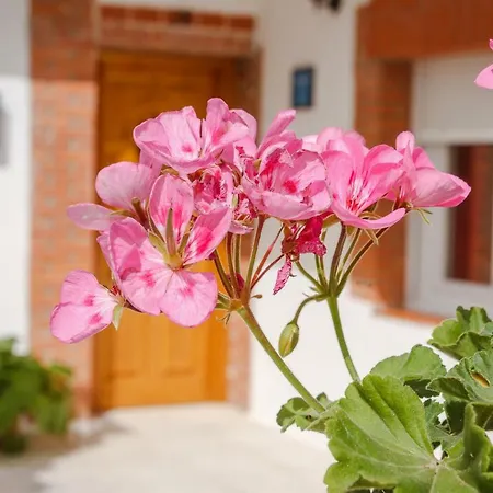 Casa Turistica El Navego Martin Munoz de las Posadas